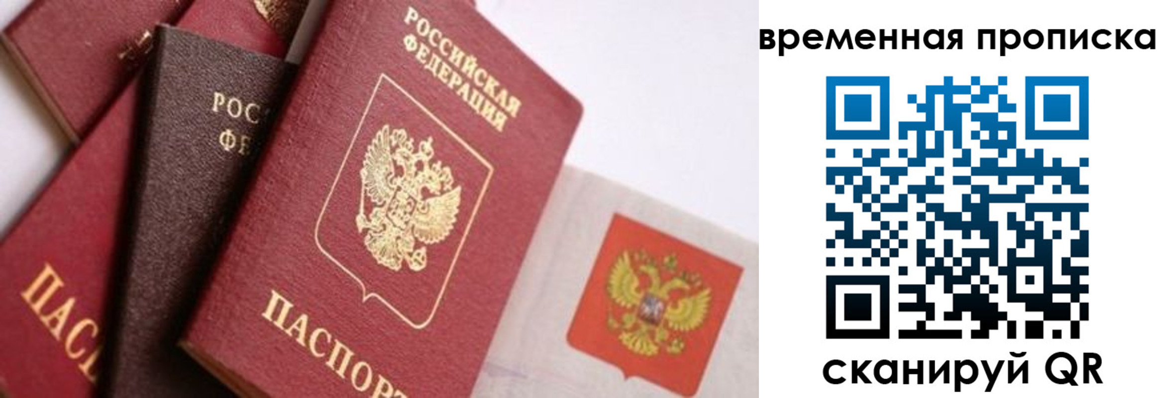 временная регистрация для всех в Светлограде